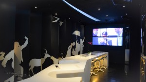 Magnet Bar
