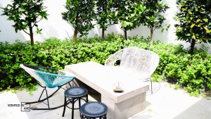 The Garden